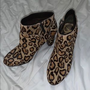 Sam Edelman cheetah booties